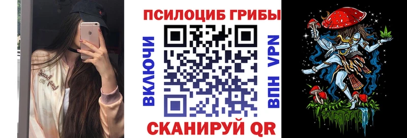 Псилоцибиновые грибы Psilocybe  Ирбит 